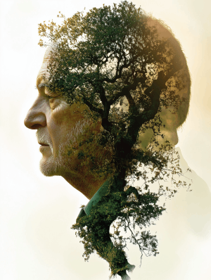 Alzheimer's & Dementia Research